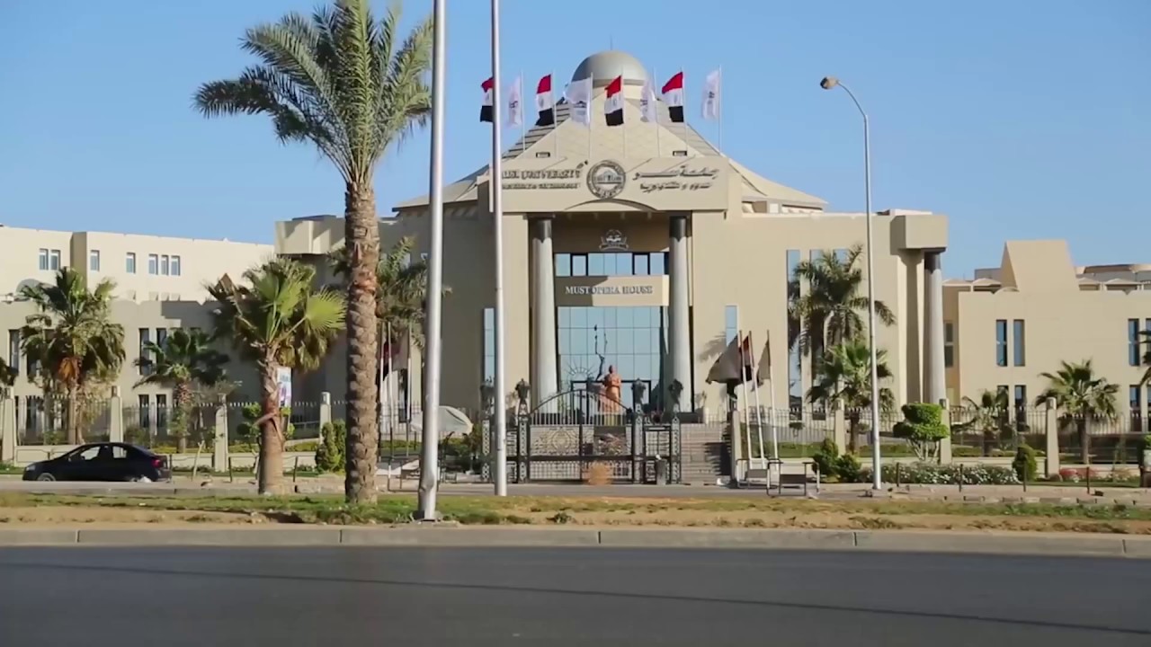 جامعات في مصر