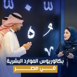 بكالوريوس الموارد البشرية في مصر: كل ما تحتاج معرفته