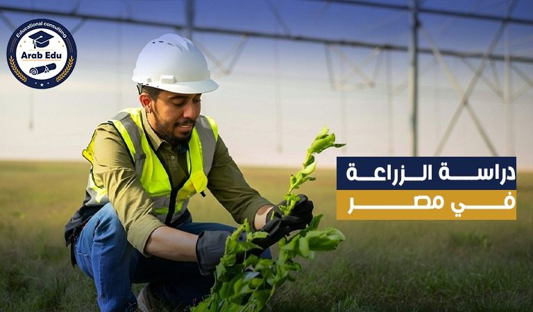 دراسة الزراعة في مصر: التخصصات والفرص