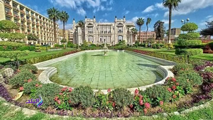 جامعة عين شمس للوافدين: شروط القبول والرسوم والتخصصات