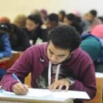 أفضل 10 تخصصات مطلوبة في مصر داخل سوق العمل