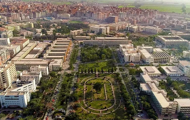 دراسة الطب في جامعة المنصورة للوافدين: لماذا تعتبر الأفضل؟