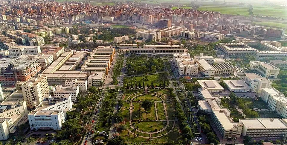 دراسة الطب في جامعة المنصورة للوافدين: لماذا تعتبر الأفضل؟