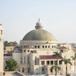 دراسة إدارة الأعمال في مصر