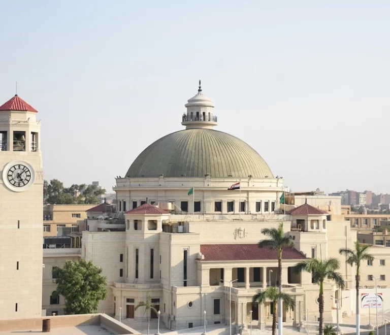 دراسة إدارة الأعمال في مصر