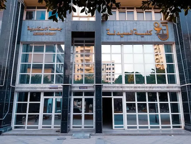 بكالوريوس الصيدلة في مصر للطلاب الوافدين: الدليل الكامل