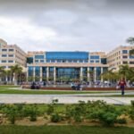 الدراسة في جامعة العلمين الدولية للوافدين