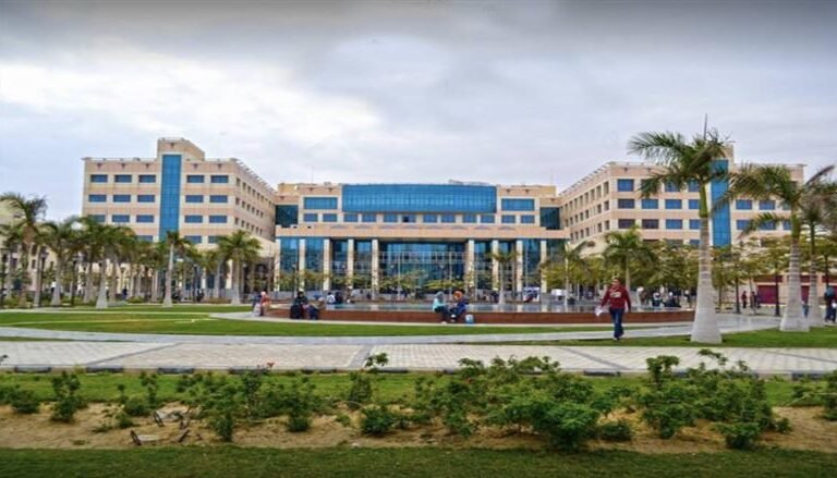 الدراسة في جامعة العلمين الدولية: تخصصات المستقبل للوافدين