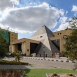 الدراسة في جامعة النهضة