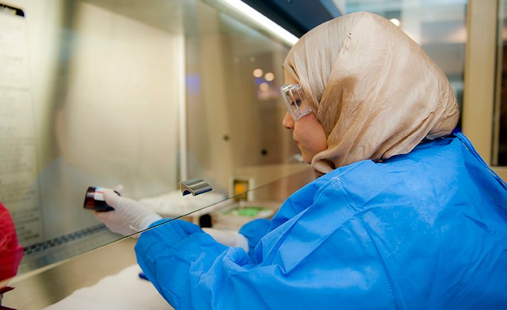 بكالوريوس الصيدلة الإكلينيكية في مصر