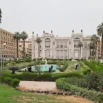 أفضل تخصصات البكالوريوس في مصر