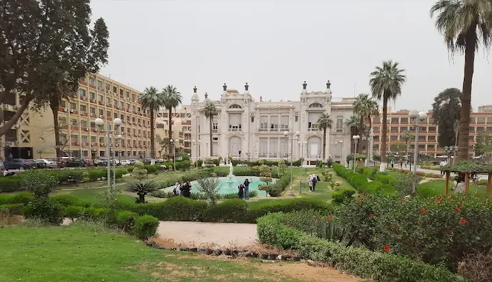أفضل تخصصات البكالوريوس في مصر