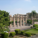 أفضل كليات الطب في مصر