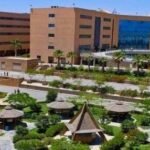 الجامعات المصرية المعتمدة في دول الخليج