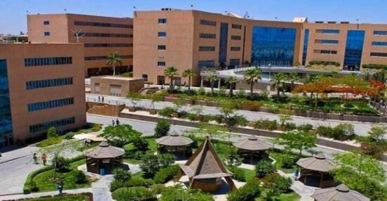 الجامعات المصرية المعتمدة في دول الخليج