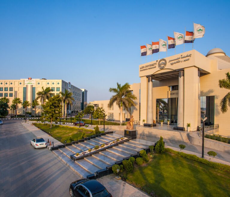 الجامعة المناسبة في مصر