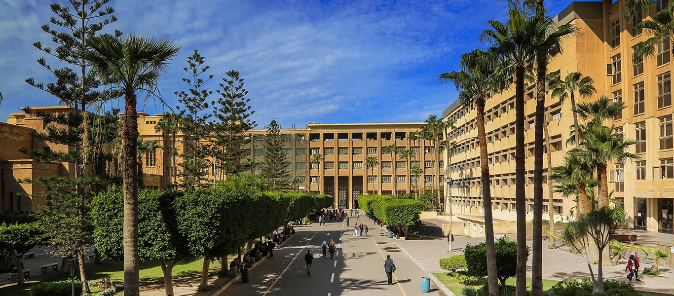 بكالوريوس التسويق في مصر