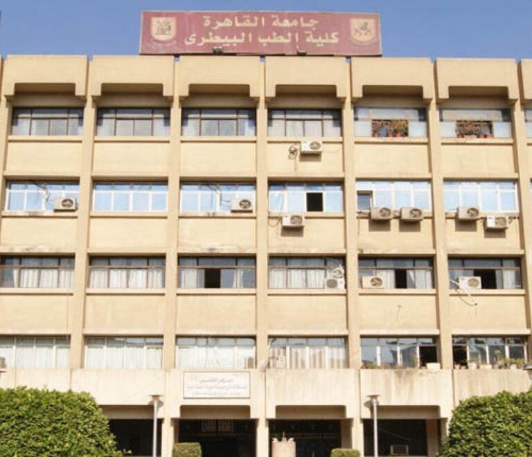 بكالوريوس الطب البيطري في مصر