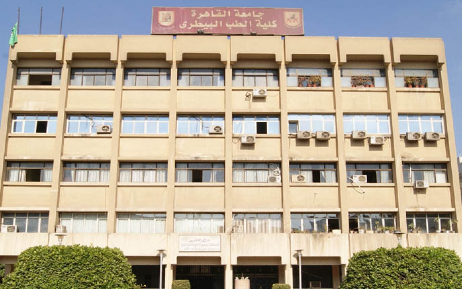 بكالوريوس الطب البيطري في مصر