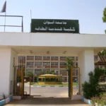 كليات الطاقة المتجددة في مصر
