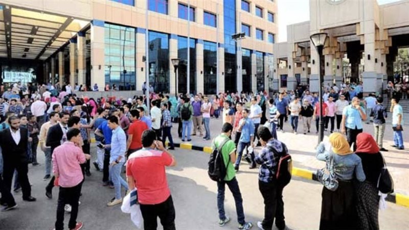 أفضل تخصص جامعي
