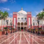 الجامعة البريطانية في مصر