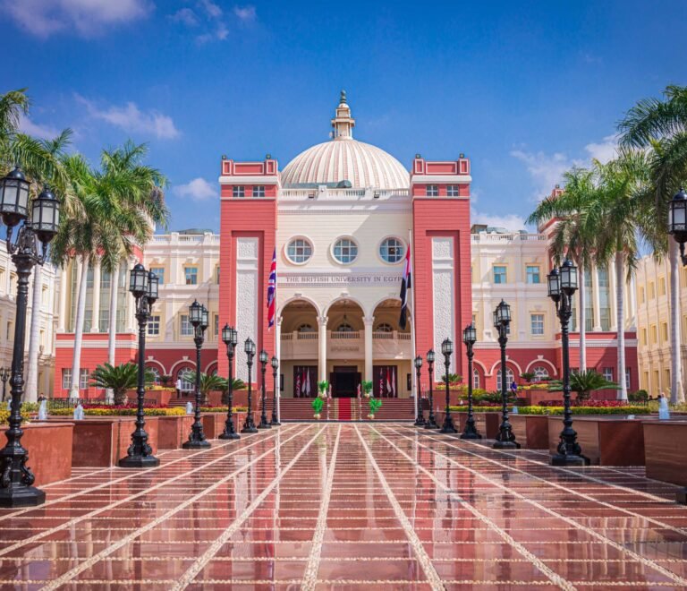 الجامعة البريطانية في مصر