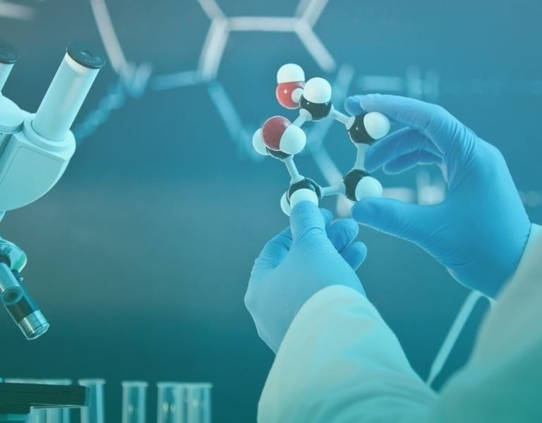 دراسة ماجستير علم الأجنة في مصر 2026: كل ما تحتاج معرفته عن القبول والتكلفة