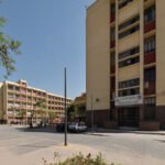 دراسة الآداب في مصر