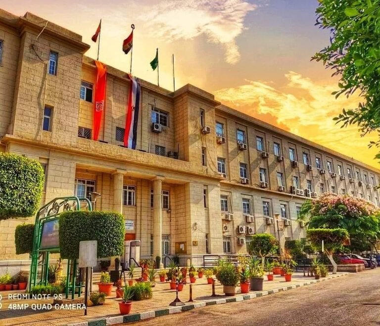 دراسة العلوم السياسية في مصر