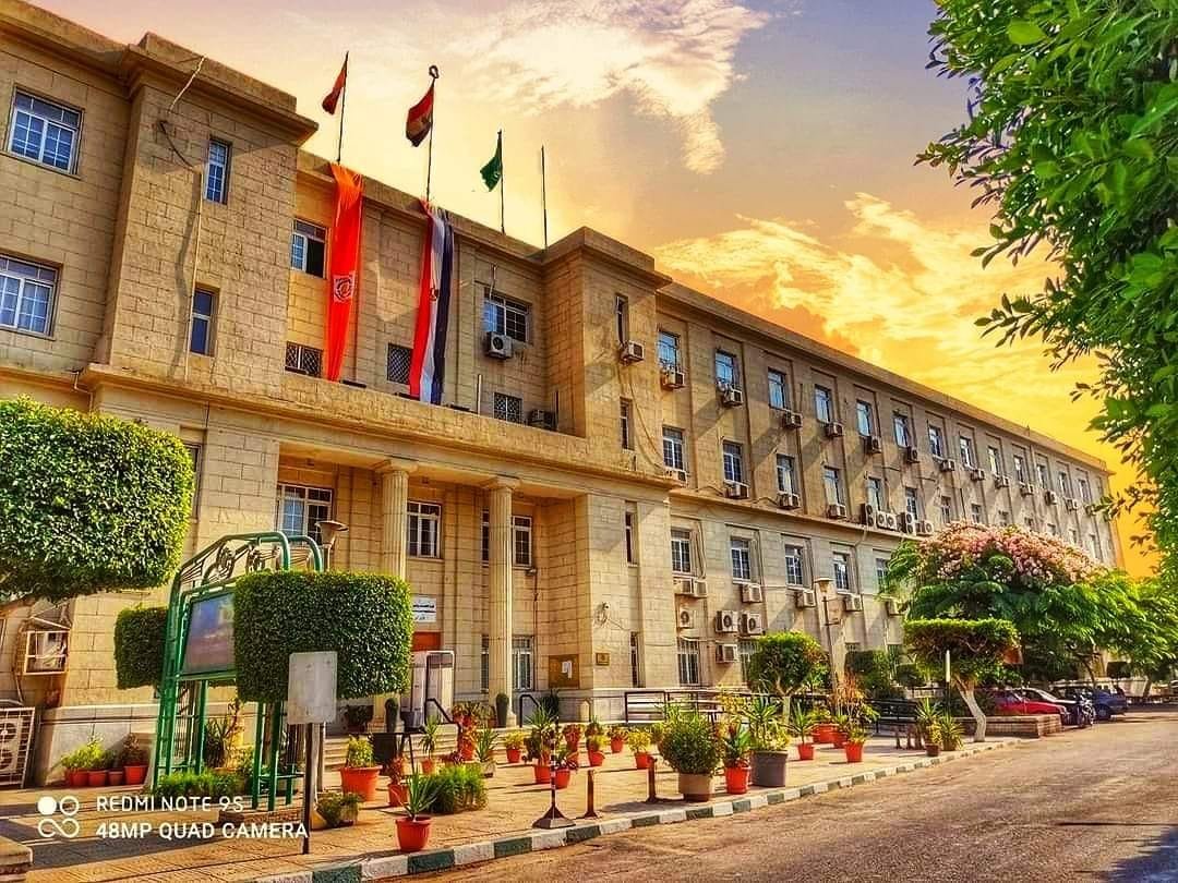 دراسة العلوم السياسية في مصر