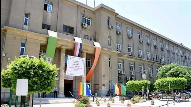 كل ما تريد معرفته عن دراسة الاقتصاد في مصر: القبول والتكاليف والمستقبل الوظيفي