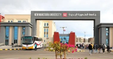 البكالوريوس في جامعة المنصورة