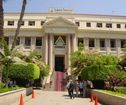 الدكتوراه في الجامعات المصرية