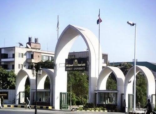 تخصصات نادرة في الجامعات المصرية