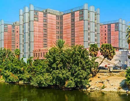 تكلفة الزمالة المصرية