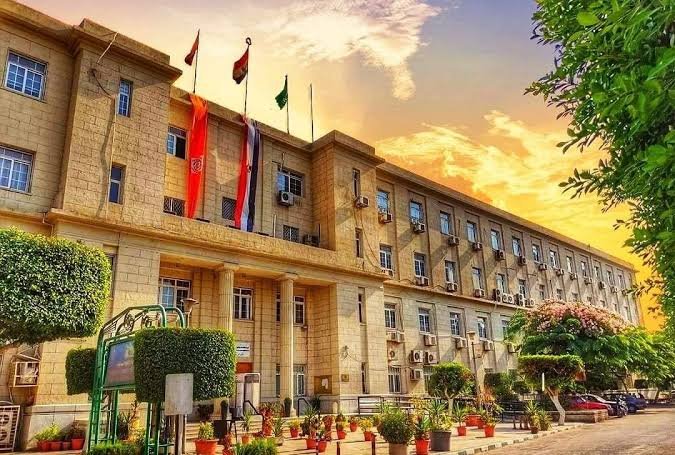 أفضل جامعات مصر 2026 حسب التصنيف العالمي للوافدين