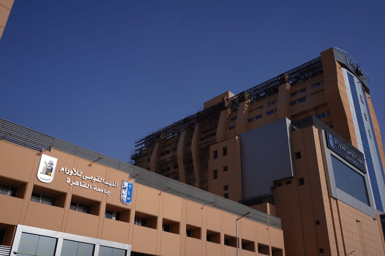 الدراسة في المعهد القومي للأورام