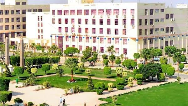 دليل الجامعات المصرية المعتمدة للوافدين خطوة بخطوة