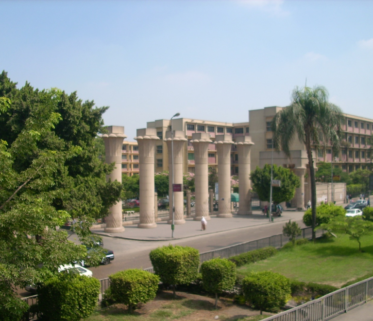 خطوات استخراج وتجديد إقامة الطالب الوافد في مصر : الأوراق والمصاريف