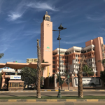 جامعة المنوفية