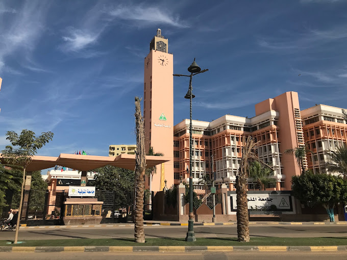جامعة المنوفية في مصر: شروط القبول للطلاب الدوليين وفرص الدراسة